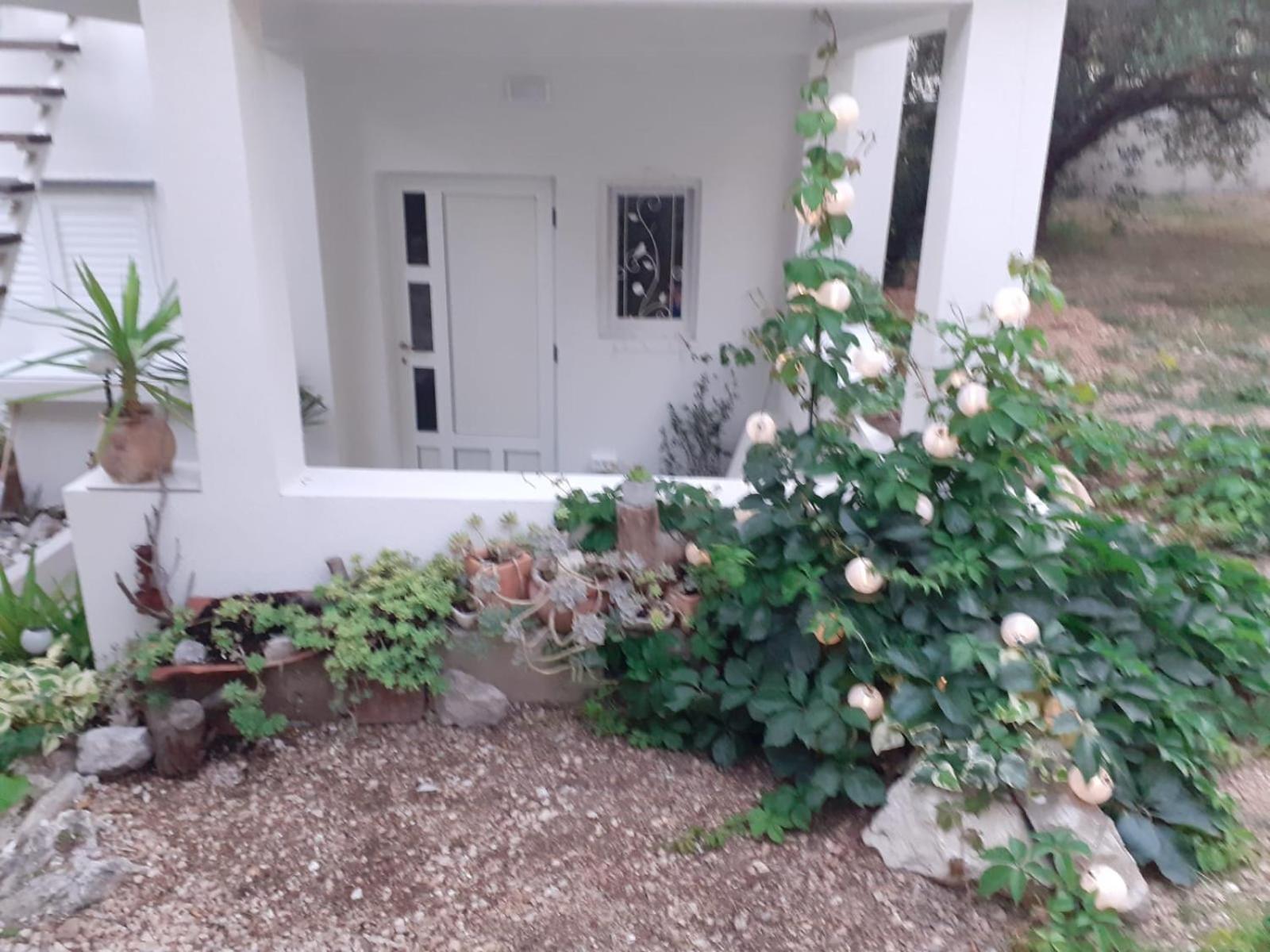 Villa Ana Makarska Quarto foto